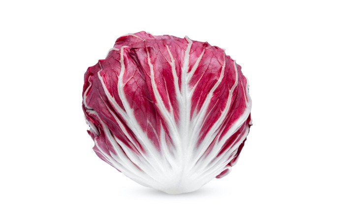 Radicchio di Chioggia PGI | Radicchio di Chioggia PGI